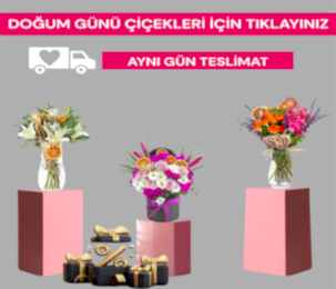 Doğum Günü