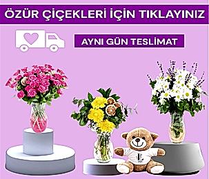 ÖZÜR ÇİÇEKLERİ