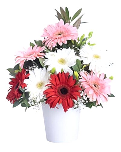 Gerbera Aranjman